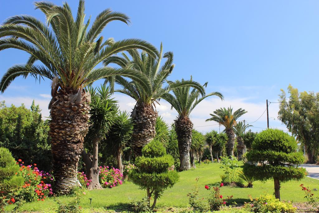 Hotel Corellia Asterias Beach
